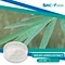 leaves extract
